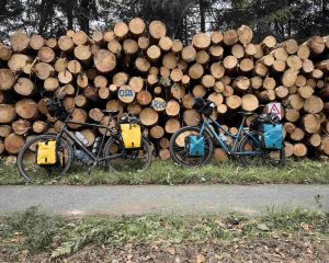 Fietsen door Nationaal Park de Hoge Veluwe